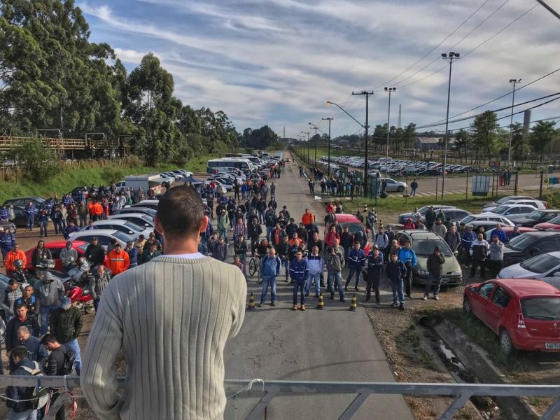 03-10-17-ARAUCARIA-4