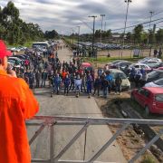 03-10-17-ARAUCARIA-2