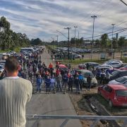 03-10-17-ARAUCARIA-4